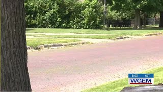 Improvements coming to one of Rushville’s only brick roads
