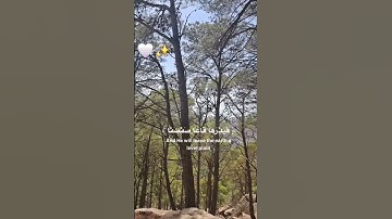 سورة طه (105-108) ♡