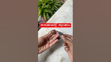 Macadamia nuts#macadamia nuts#viralshorts