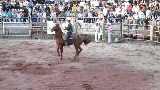 Jaripeo en Huascato Pt 3