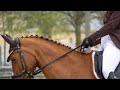Hall of Fame ✩ Equestrian Music Video