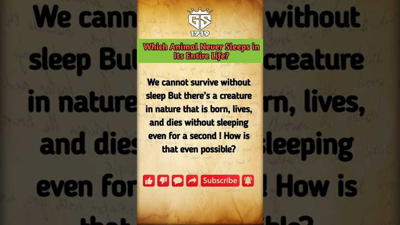 || Which Animal Never Sleeps in Its Entire Life? | Facts | Shorts || 