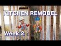 Kitchen remodel week 2