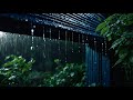 Heavy Rainstorm and Thunder Sounds for Deep Sleep and Stress Relief | No Talking
