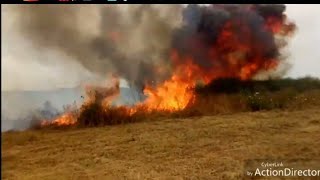 Iflissen Incendiearrêtez De Nuire À La Nature