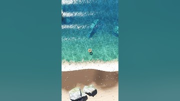 Ocean Beach In Blender #jham3d #3dart