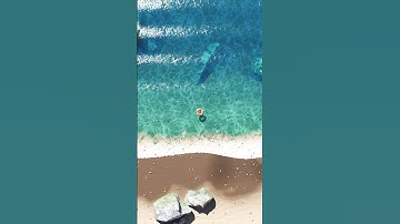 Ocean Beach In Blender #jham3d #3dart