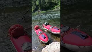 каменная роща бельсу 26 06 2022 года shorts