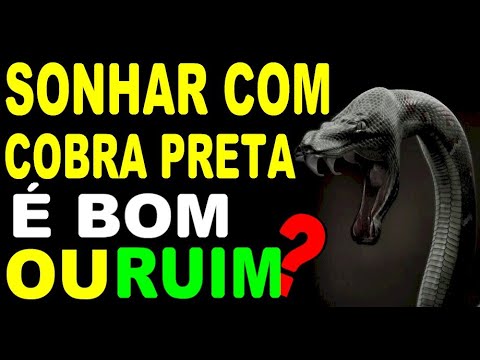 Interpretações de Sonhar com Cobra Preta - É motivo de preocupação?