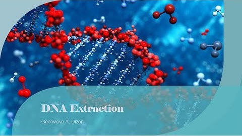 DNA Extraction