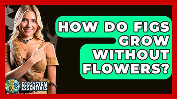 How Do Figs Grow Without Flowers? - Ecosystem Essentials