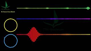 Inukshuk - A World Away #Inukshuk #AWorldAway [Audio Visualizer] #MelodicDubstep | TTA Spectrum