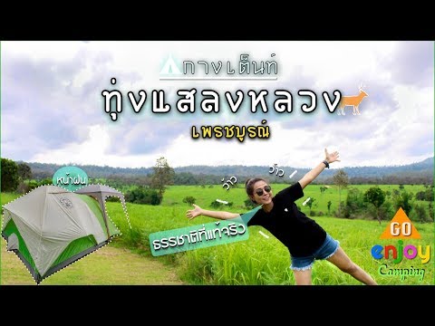 Enjoy Camping : กางเต็นท์ ทุ่งแสลงหลวง เพรชบูรณ์ ทุ่งหญ้าสะวันนาเมืองไทย ธรรมชาติที่แท้จริง หน้าฝน