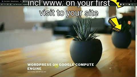 Free 300$ Google cloud hosting | wordpress install | Free domain | Free SSL certificate