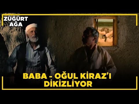 Züğürt Ağa | Baba - Oğul Kiraz'ı Dikizliyor