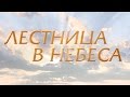 Лестница в небеса (21 серия)