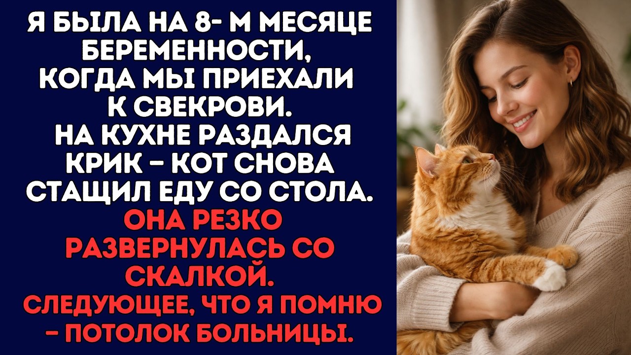 Я была на 8- м месяце беременности, когда мы приехали к свекрови. На кухне раздался крик — кот снова