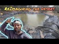 Transforming a desert from scratch greening the desert with permaculture tour