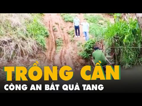 Video Công an 'đu ròng rọc' vào rẫy bắt quả tang đối tượng... - youtube
