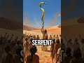 Faith changes everything #Bible #Faith #Wisdom