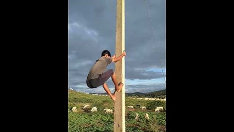 Pole climbing test for kptcl hescom mescom bescom for girl boy Junior power or line man in Karnataka