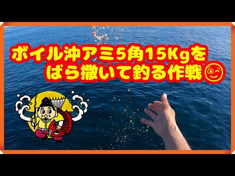 海坊主 海鮮丼 海坊主 (@awajishima_umibouzu) • Instagram photos and