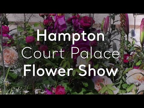 Video: Een gids voor de RHS Hampton Court Palace Flower Show