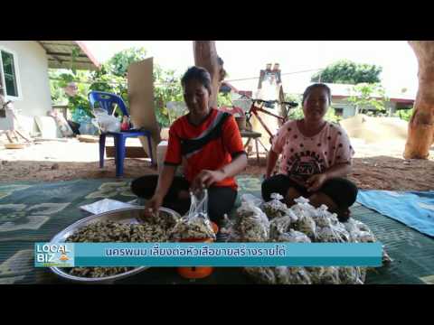 นครพนม เลี้ยงต่อหัวเสือ ขายสร้างรายได้ : เศรษฐกิจชาวบ้าน