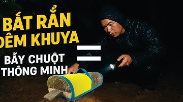 BẪY RẮN VỚI BẪY CHUỘT THÔNG MINH "THÀNH CÔNG HAY THẤT BẠI" | CHICA FARM