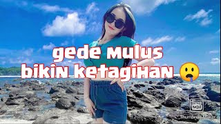 Kumpulan tik tok @falen_finola gunung gede part #1