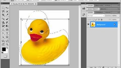 Photoshop CS5 Tutorial The Free Transform Command Adobe Training Lesson 14.5