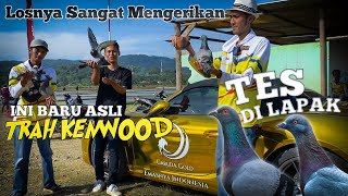 LOSNYA MENGERIKAN‼️CUMA GARUDA GOLD LATIHAN MERPATI BAWA MOBIL SPORT PORSCHE