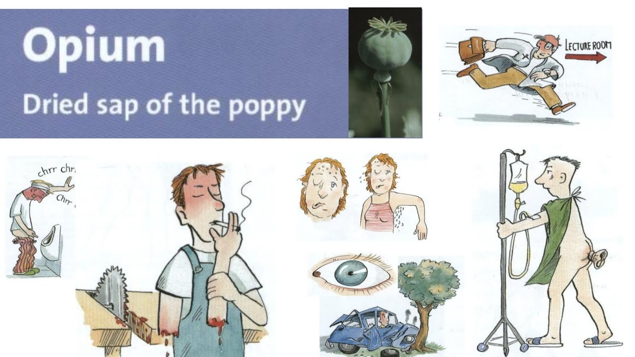 Opium Personality - The Silent Sufferer Remedy 😴 