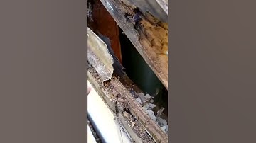 Z Flashing Disaster