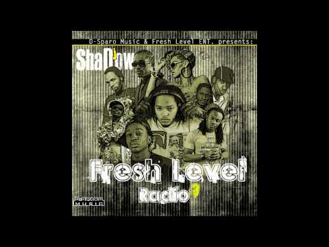 Dj-Shadow (part7) Mixtape Ft. Aidonia Stephen Di G...