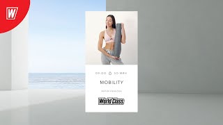 : MOBILITY    |  25  2025 | - World Class