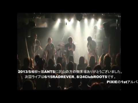 5/6 柳ヶ瀬ANTS Live動画 告知 【 PIXIE ROUGE 】