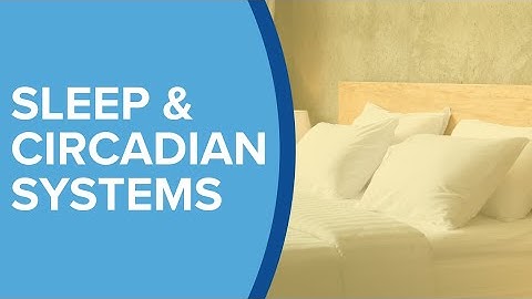 Sleep and Circadian Systems - Yale Medicine Explains