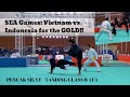 SEA GAMES: GOLD for Vietnam! -PENCAK SILAT - TANDING CLASS B ( F )