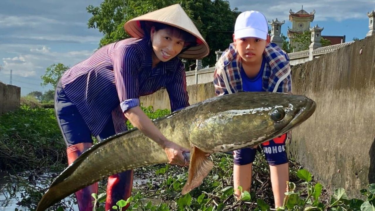 Unbelievable Catch! Huge Snakehead Fish Cooked on Straw Fire | Countryside Cooking