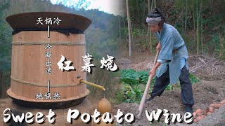 Brewing: Sweet Potatoes from Seedlings to Jugs of Wine