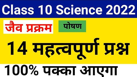 कक्षा 10 विज्ञान chapter 6 जैव प्रक्रम (jaiv prakram) | Important mcq class 10 Science