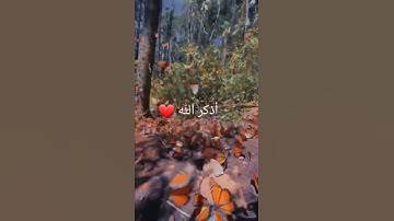 الذين يذكرون الله قياما وقعودا وعلى جنوبهم | الشيخ سعد الغامدي | سورة ال عمران