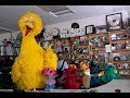 Sesame street npr music tiny desk concert