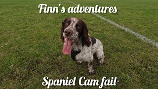 Spaniel Cam - Finn's adventures to Dalkeith High School Campus - GoPro fail lol by Finn the Spaniel  22 views 8 months ago 3 minutes, 50 seconds