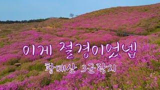 황매산 철쭉 3군락지 | 지나보니 절경 | 작년 만개 모습 | 냉해를 버틴 자홍색 색감 | Hwangmaesan Azalea Festival