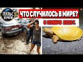 Катаклизмы за день 6 ноября 2020 ! Пульс Земли ! в мире ! событие дня!  Снегопад #GUATEMALA #Eta