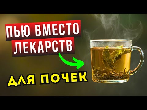 Почки очищаются и Камни выходят САМИ — проверенный домашний способ.