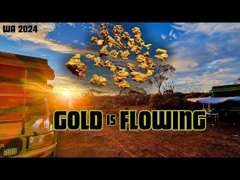 Gold Prospecting in