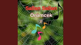 Sallan Sallan Örümcek